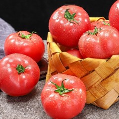 【正常发货】新疆霍尔果斯普罗旺斯西红柿5斤装 乌市/霍尔果斯发货 顺丰包邮